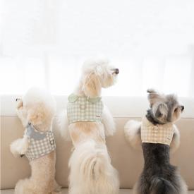 펫츠랜드 오데트카라하네스 3color S-L