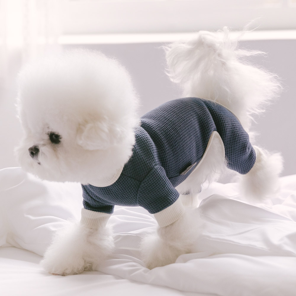 펫츠랜드 더블버튼와플올인원 2color S-2XL