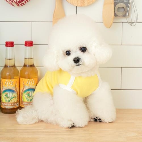 펫츠랜드 밀키티셔츠 3 color S-2XL