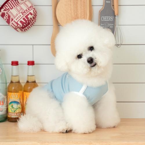 펫츠랜드 밀키티셔츠 3 color S-2XL