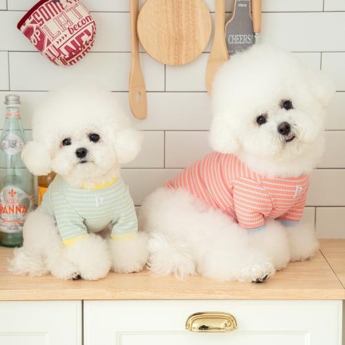 펫츠랜드 앨리스티셔츠 3 color S-2XL