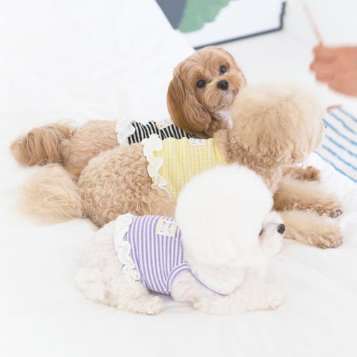 펫츠랜드 릴리프릴나시티 3 color S-2XL