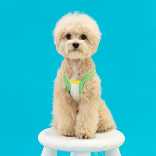 펫츠랜드 캔디팝크롭나시티 2 color S-2XL