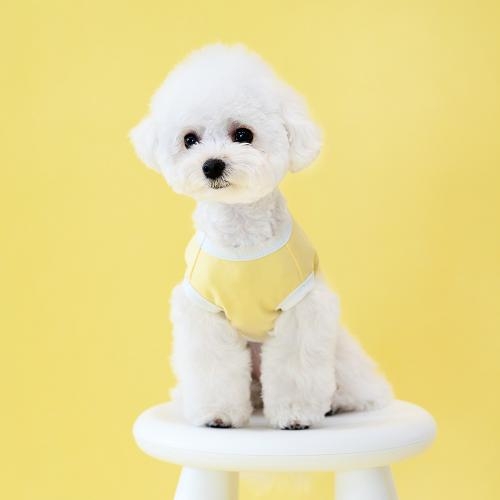 펫츠랜드 프렌즈티셔츠 3 color S-2XL