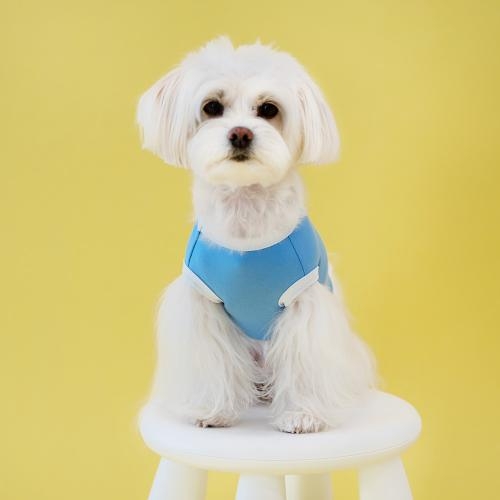 펫츠랜드 프렌즈티셔츠 3 color S-2XL