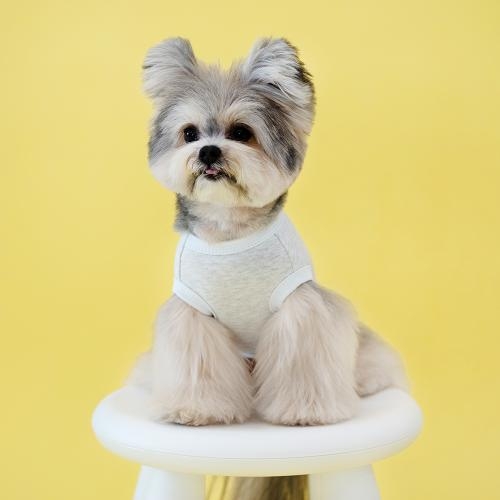 펫츠랜드 프렌즈티셔츠 3 color S-2XL