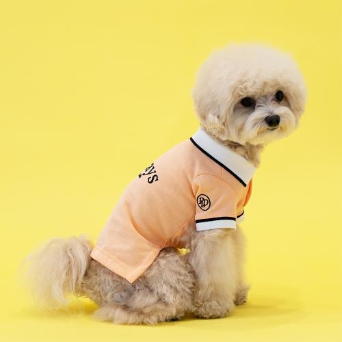 펫츠랜드 올웨이즈티셔츠 3 color S-2XL