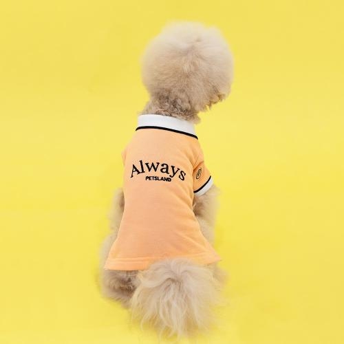 펫츠랜드 올웨이즈티셔츠 3 color S-2XL