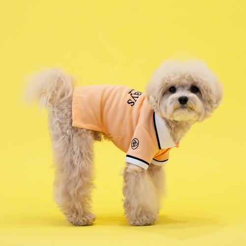 펫츠랜드 올웨이즈티셔츠 3 color S-2XL