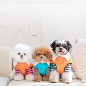 펫츠랜드 모던케이프패딩 2 color S-2XL