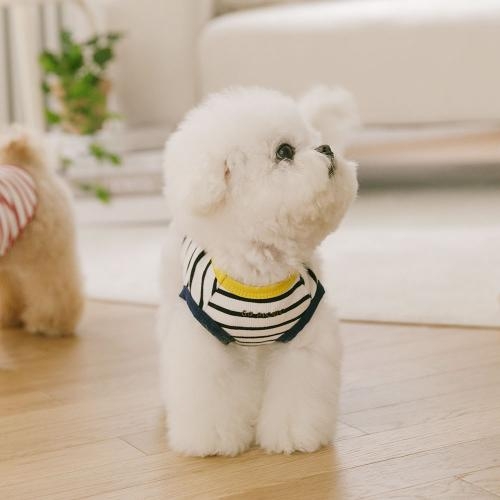 펫츠랜드 해피버기티셔츠 2 color S-2XL