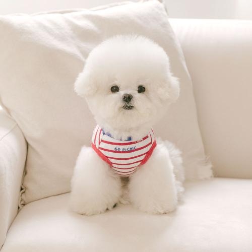 펫츠랜드 해피버기티셔츠 2 color S-2XL