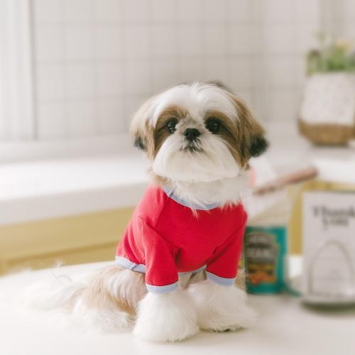 펫츠랜드 큐티라벨티셔츠 3 color S-2XL