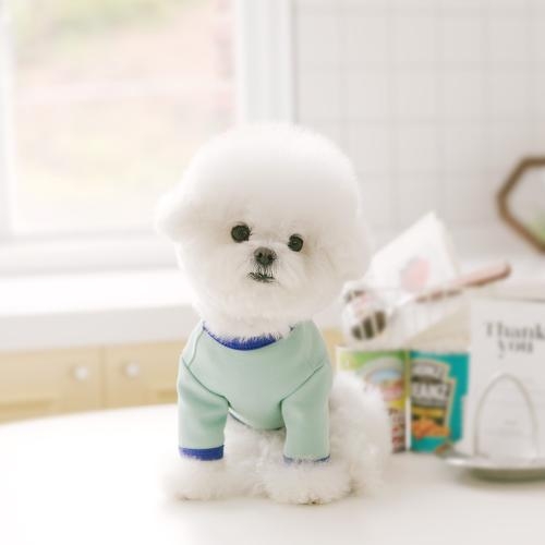 펫츠랜드 큐티라벨티셔츠 3 color S-2XL