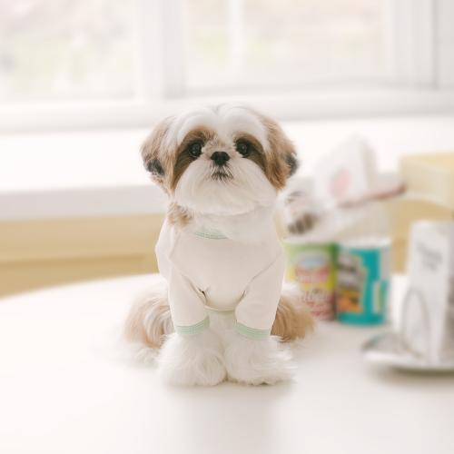 펫츠랜드 큐티라벨티셔츠 3 color S-2XL