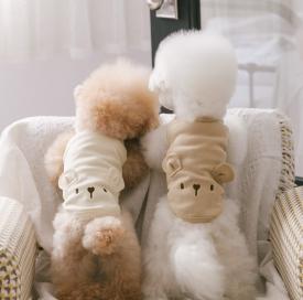 펫츠랜드 아임베어티셔츠 2 color S-2XL