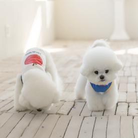 펫츠랜드 애플러쉬티셔츠 2color S-2XL