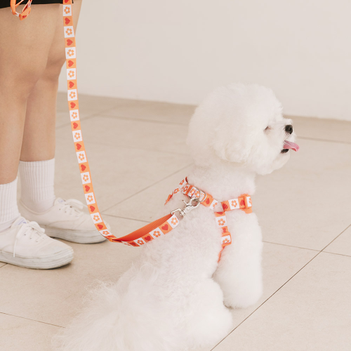 펫츠랜드 하트팝 핸즈프리 리드줄 3color