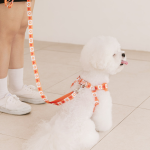 펫츠랜드 하트팝 핸즈프리 리드줄 3color