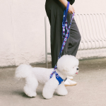 펫츠랜드 하트팝 핸즈프리 리드줄 3color