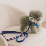 펫츠랜드 하트팝 핸즈프리 리드줄 3color