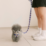 펫츠랜드 하트팝 핸즈프리 리드줄 3color