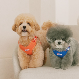 펫츠랜드 하트팝하네스 3 color S-L