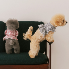 펫츠랜드 하이디하네스 S-L