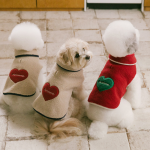 펫츠랜드 하트몽판초 2color S-2XL