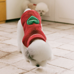 펫츠랜드 하트몽판초 2color S-2XL