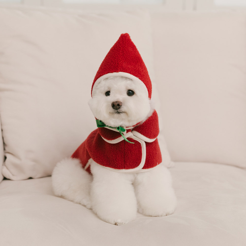 펫츠랜드 하트몽판초 2color S-2XL