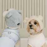 펫츠랜드 몽글베어모자 3color S-L