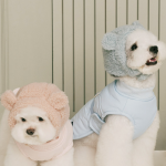 펫츠랜드 몽글베어모자 3color S-L