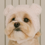 펫츠랜드 몽글베어모자 3color S-L