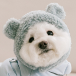 펫츠랜드 몽글베어모자 3color S-L