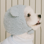 펫츠랜드 몽글베어모자 3color S-L