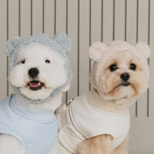 펫츠랜드 몽글베어모자 3color S-L