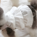 펫츠랜드 블루밍캉캉원피스 2Color S-2XL