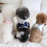 펫츠랜드 허그미하네스 3Color S-L