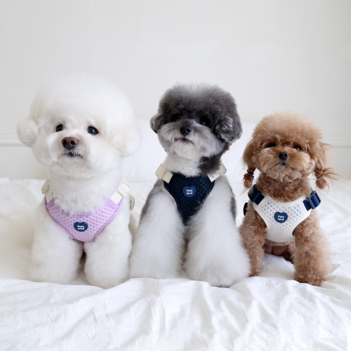 펫츠랜드 에어브레스하네스 3color S-L
