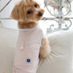 펫츠랜드 아이스포켓쿨티 3color S-2XL