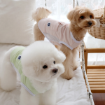 펫츠랜드 아이스포켓쿨티 3color S-2XL