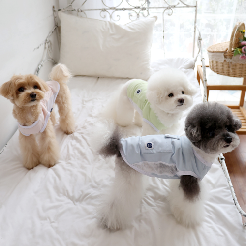펫츠랜드 아이스포켓쿨티 3color S-2XL
