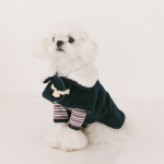 펫츠랜드 테디더플코트 2color S-2XL