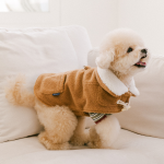 펫츠랜드 테디더플코트 2color S-2XL