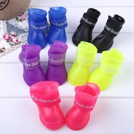 비비드러버부츠 (5color)