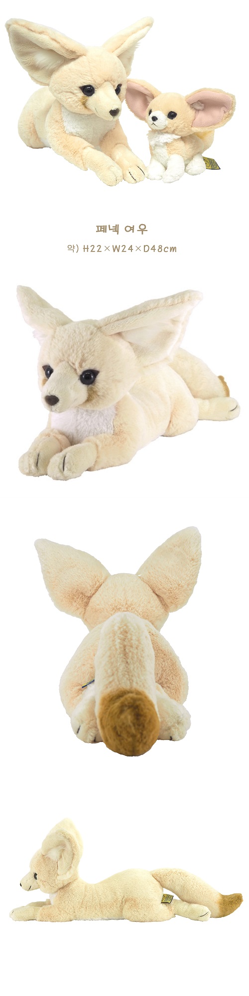 2_170221.jpg 2_170221.jpg