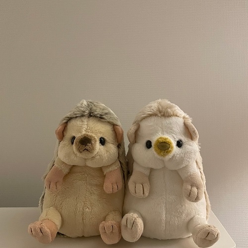 SUNLEMON) FLUFFIES-플러피애니멀 고슴도치M (BE/WH/BR)