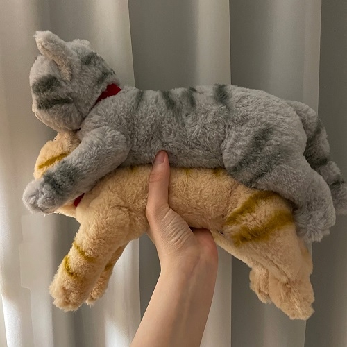 SUNLEMON) 무릎인형★고양이 S사이즈(히자네꼬)