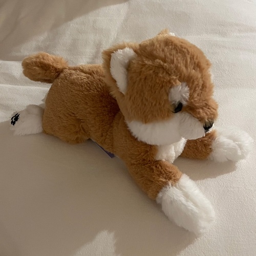 SUNLEMON) 무릎인형★강아지 시바견 SS사이즈(히자완꼬)